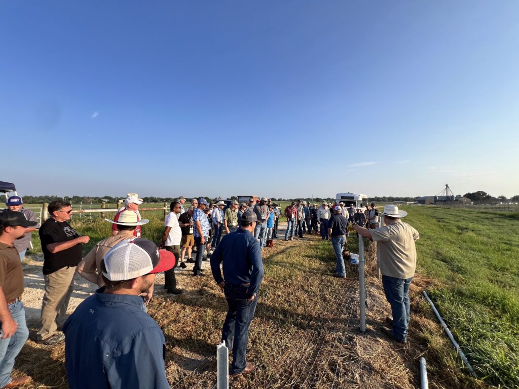 Texas A&M Beef Cattle Short Course