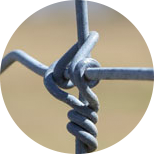 Fixed-Knot